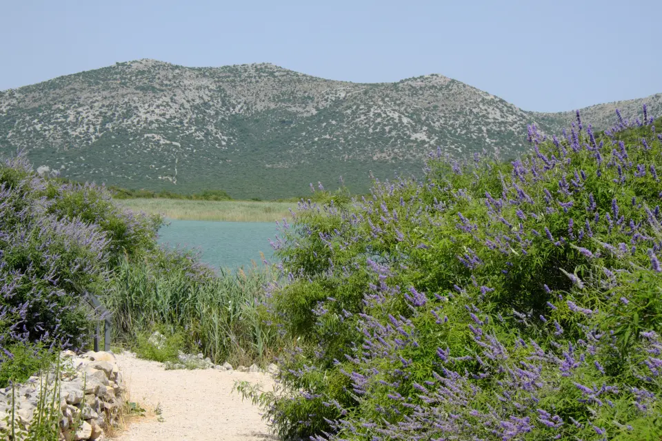 Vrana Lake